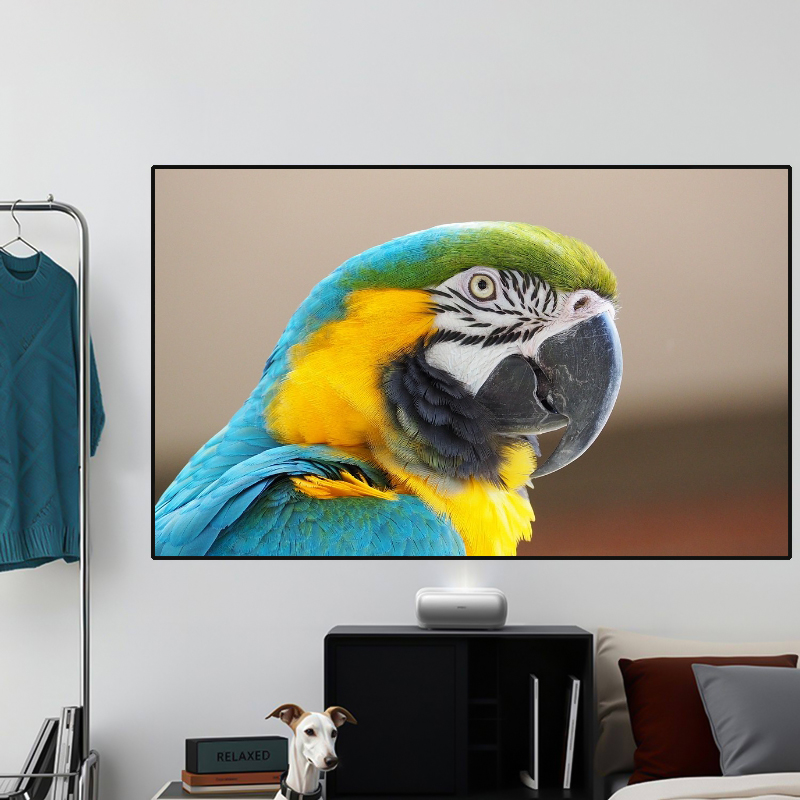 2026 ГОРЯЧИЙ ALR PET Crystal B – обзор и цена Alr Ambient Light Rejecting Projector Screen