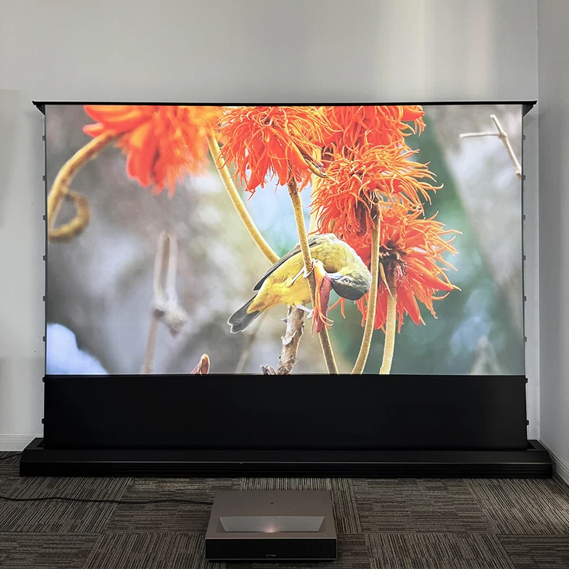120-дюймовый электрический нап – обзор и цена Projector Screen 120 Inch Motorized Ambient