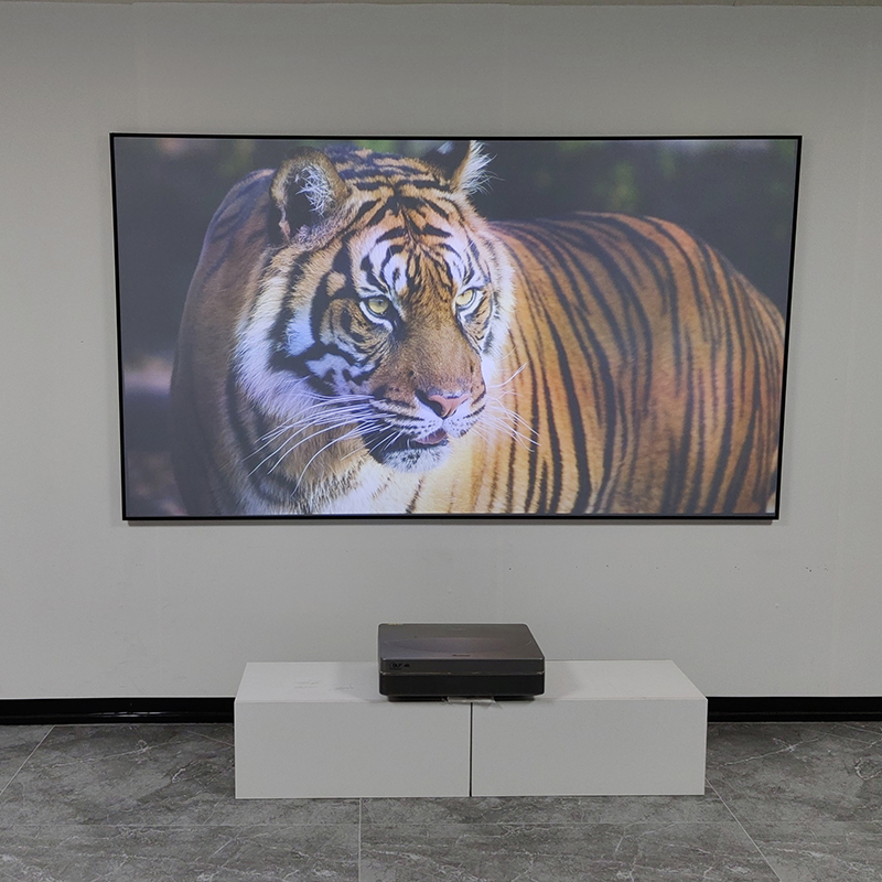 Проекционный экран VisualMr Bl – обзор и цена Alr Ambient Light Rejecting Projector Screen