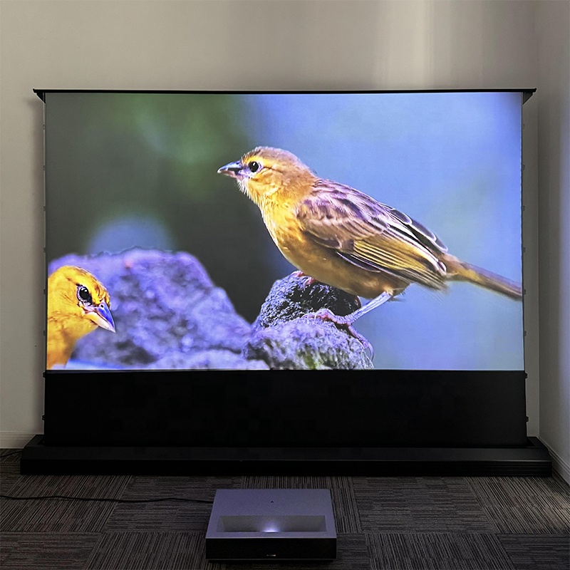 120-дюймовый моторизованный эк – обзор и цена Alr Ambient Light Rejecting Projector Screen